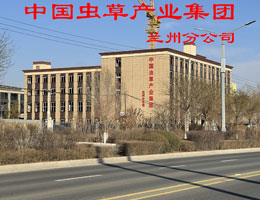 中國(guó)蟲(chóng)草產(chǎn)業(yè)集團(tuán)蘭州分公司